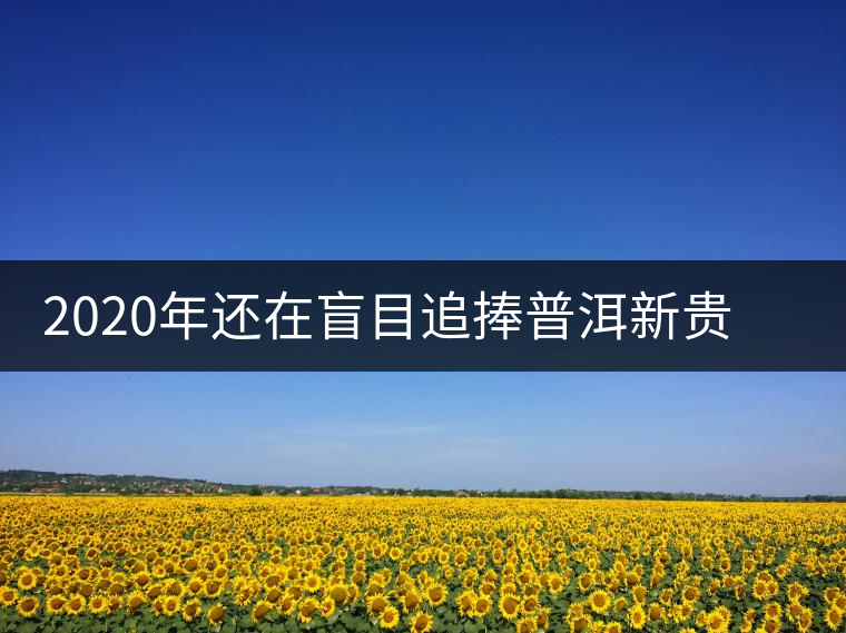 2020年還在盲目追捧普洱新貴“貓耳朵”？我們深入產(chǎn)區(qū)為你揭示最真實(shí)的“貓耳朵”！