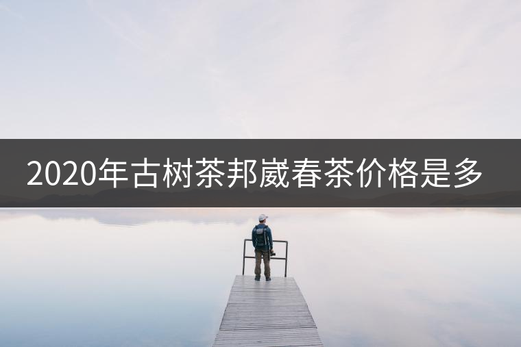 2020年古樹(shù)茶邦崴春茶價(jià)格是多少？