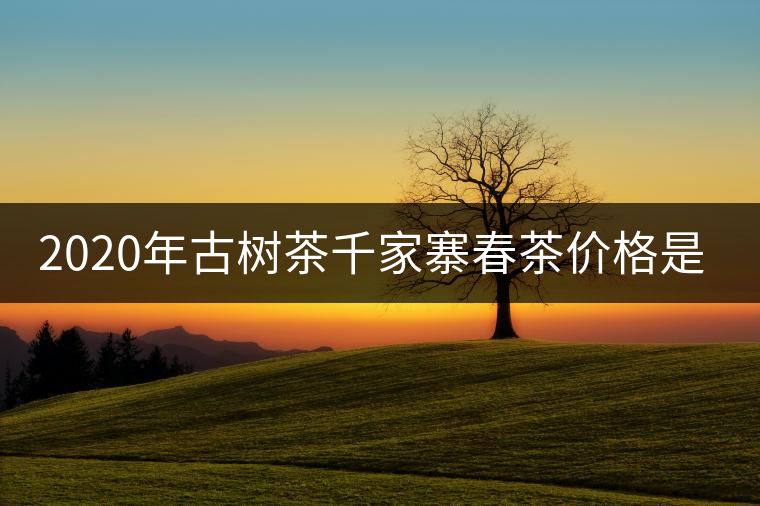 2020年古樹茶千家寨春茶價(jià)格是多少？