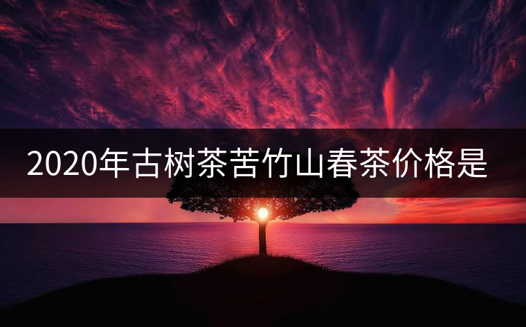 2020年古樹茶苦竹山春茶價(jià)格是多少？