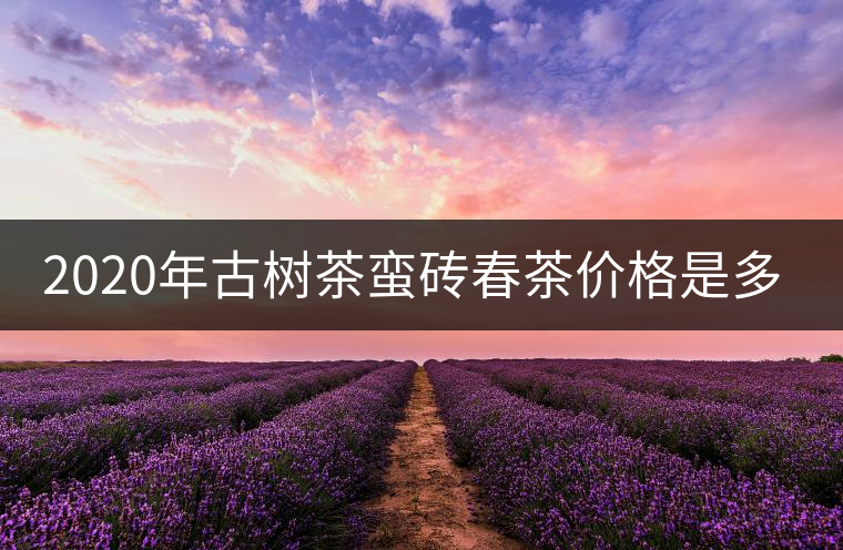 2020年古樹茶蠻磚春茶價(jià)格是多少？
