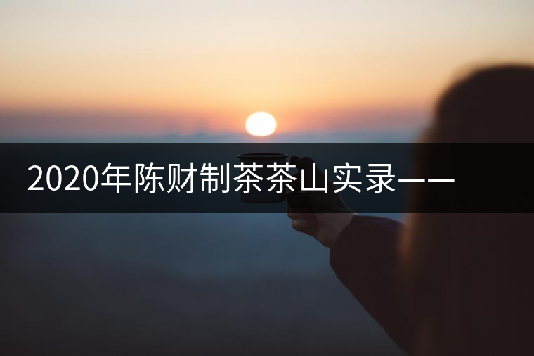 2020年陳財(cái)制茶茶山實(shí)錄——蟒蛇河畔的蟒王箐 2020年陳財(cái)制茶茶山實(shí)錄——蟒蛇河畔的蟒王箐