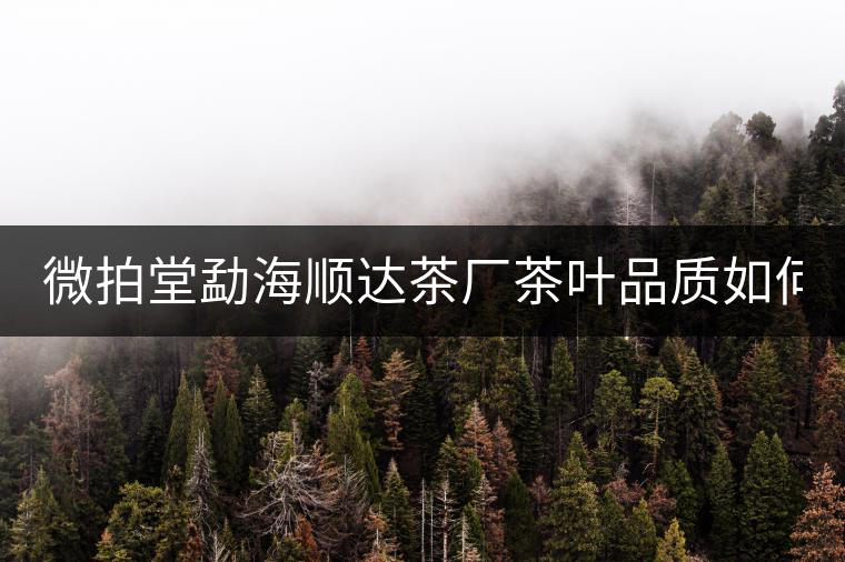 微拍堂勐海順達(dá)茶廠茶葉品質(zhì)如何？