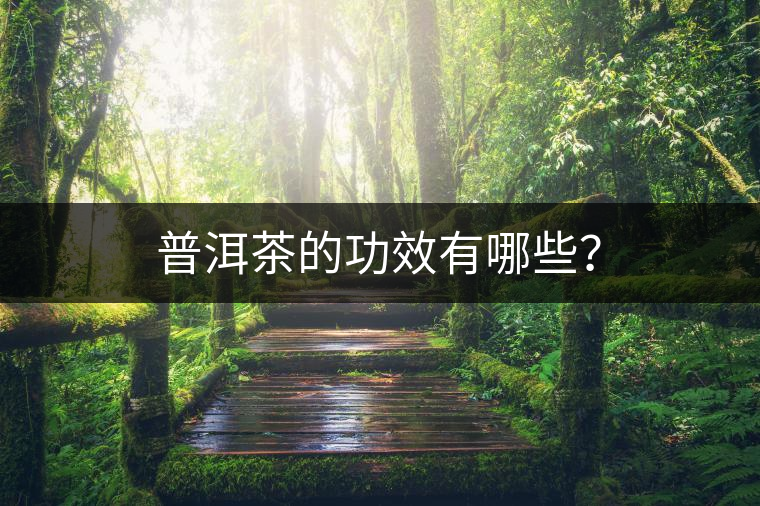普洱茶的功效有哪些？