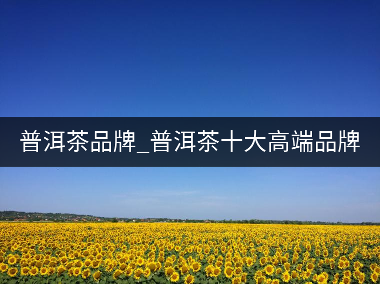 普洱茶品牌_普洱茶十大高端品牌_哪個牌子好？