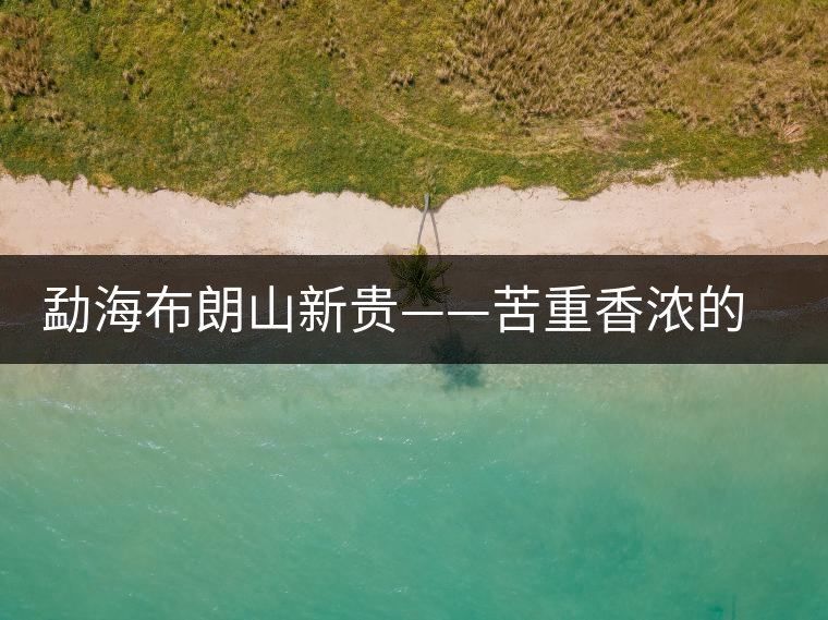 勐海布朗山新貴——苦重香濃的曼新龍 勐海布朗山新貴——苦重香濃的曼新龍