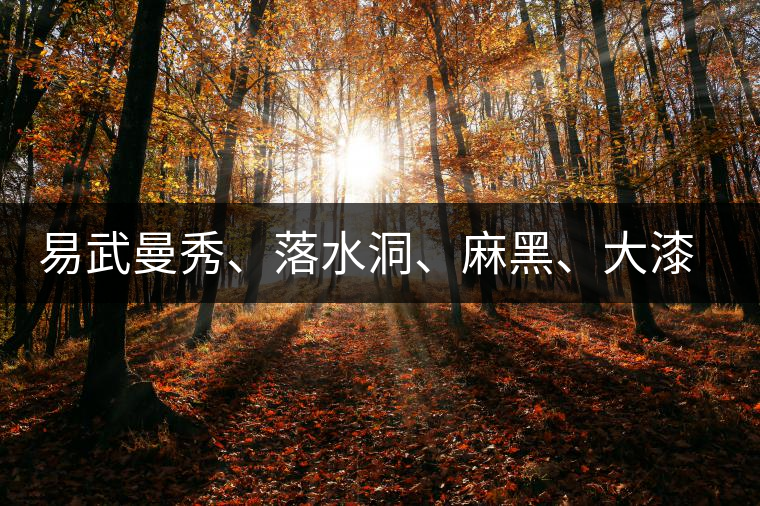 易武曼秀、落水洞、麻黑、大漆樹等你更喜歡哪個(gè)茶？