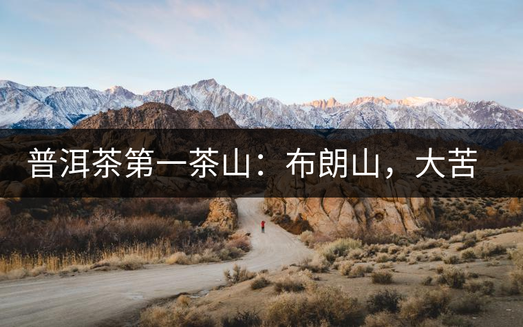 普洱茶第一茶山：布朗山，大苦大甘是它的魂