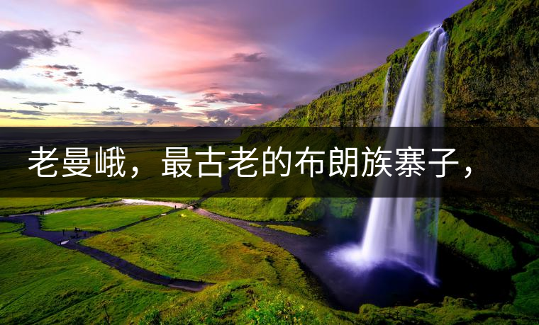 老曼峨，最古老的布朗族寨子，最極端的普洱茶