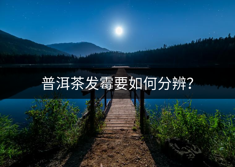 普洱茶發(fā)霉要如何分辨？