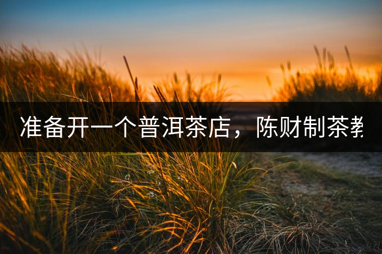 準(zhǔn)備開一個普洱茶店，陳財制茶教你怎么做！