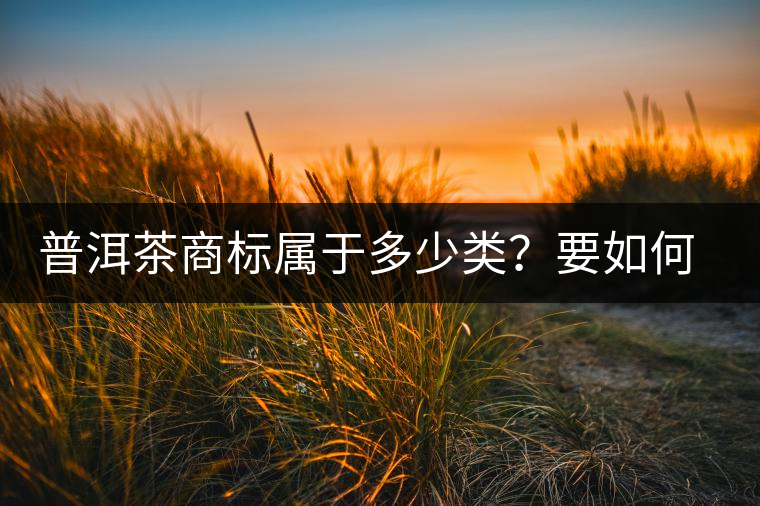 普洱茶商標(biāo)屬于多少類？要如何注冊