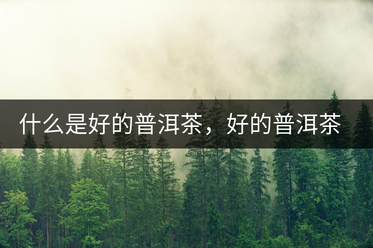 什么是好的普洱茶，好的普洱茶必須要有好的工藝！