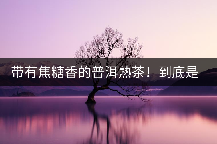 帶有焦糖香的普洱熟茶！到底是好是壞？