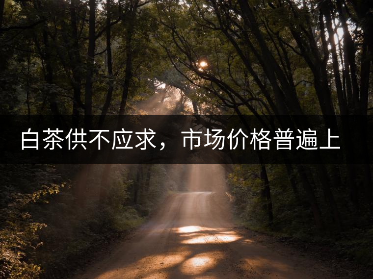 白茶供不應(yīng)求，市場價(jià)格普遍上漲？