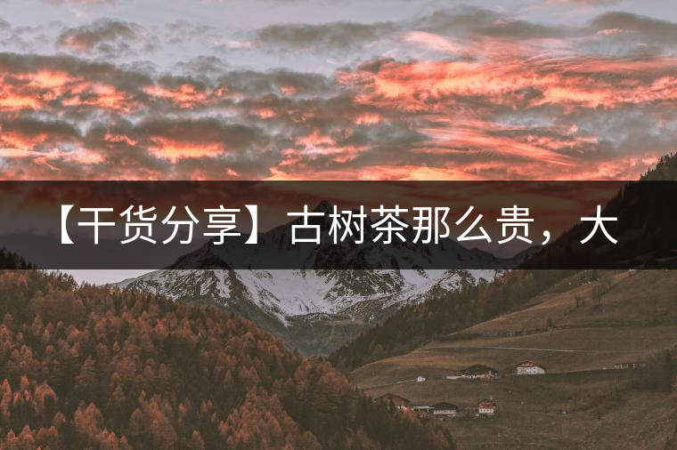 【干貨分享】古樹(shù)茶那么貴，大家為什么還在瘋狂追求？