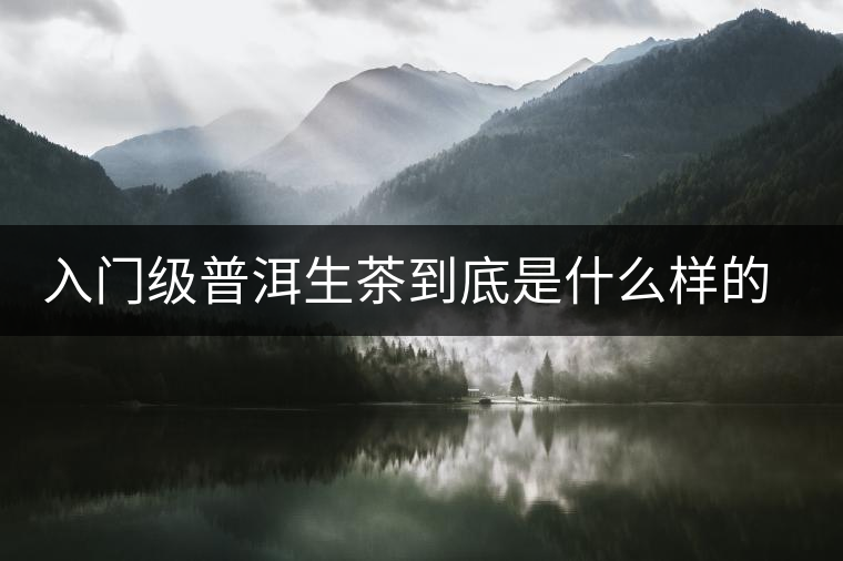 入門級普洱生茶到底是什么樣的口感？