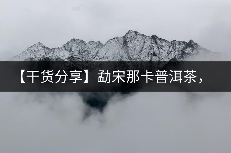 【干貨分享】勐宋那卡普洱茶，不僅僅是小班章那么單純！