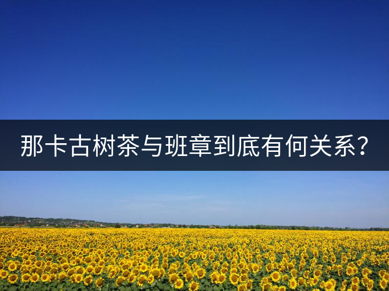 那卡古樹茶與班章到底有何關(guān)系？