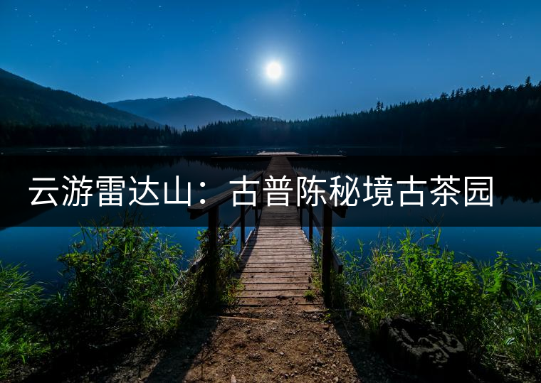 云游雷達(dá)山：古普陳秘境古茶園，品第一杯春鮮