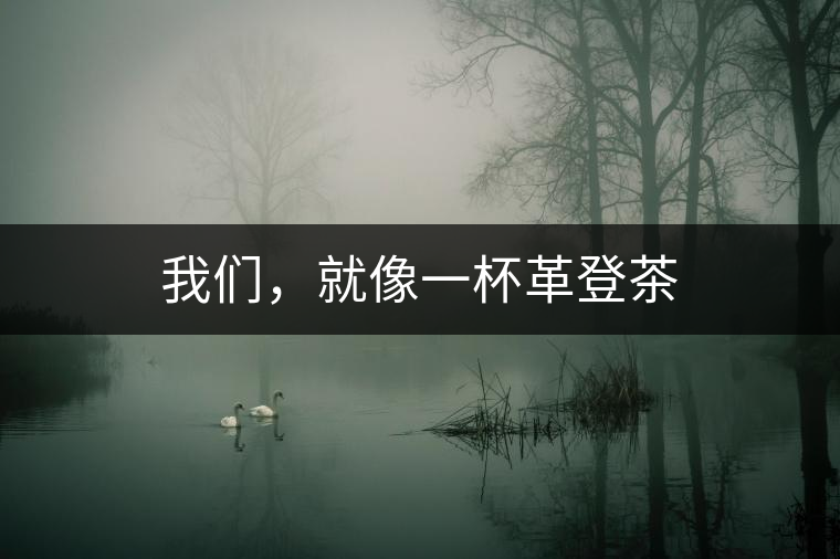 我們，就像一杯革登茶