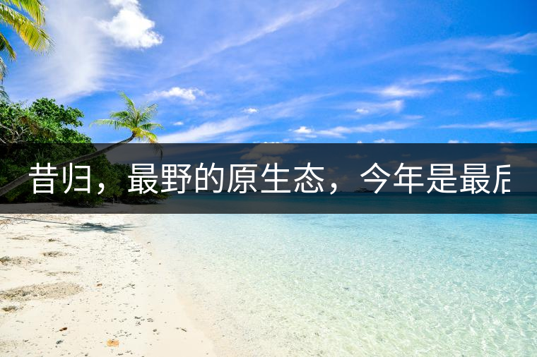 昔歸，最野的原生態(tài)，今年是最后一年了！