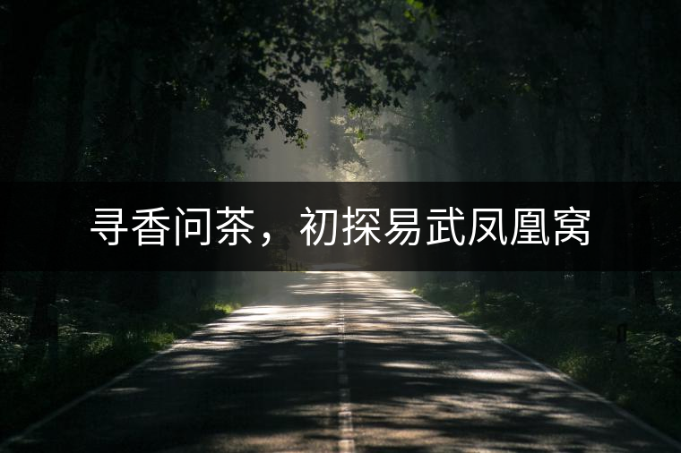 尋香問茶，初探易武鳳凰窩