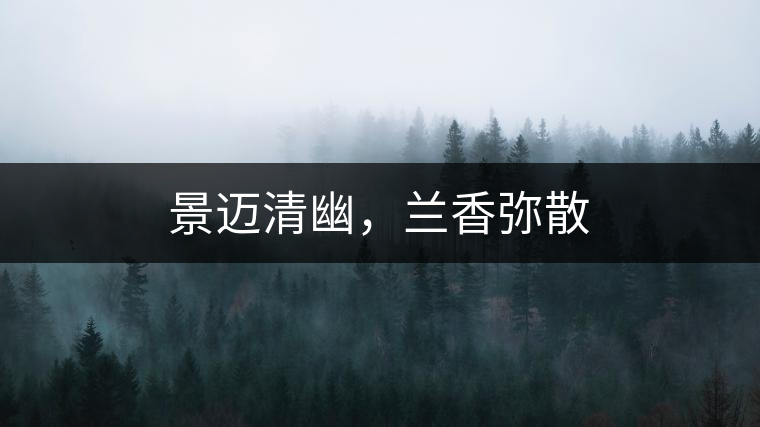 景邁清幽，蘭香彌散