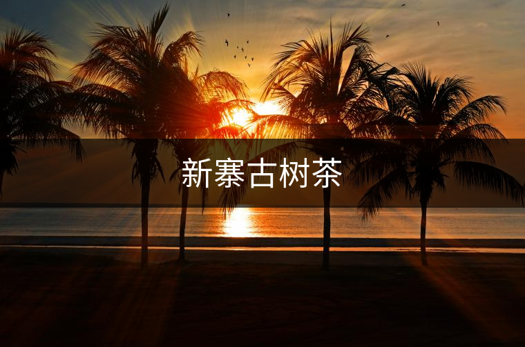 新寨古樹(shù)茶