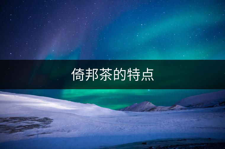 倚邦茶的特點