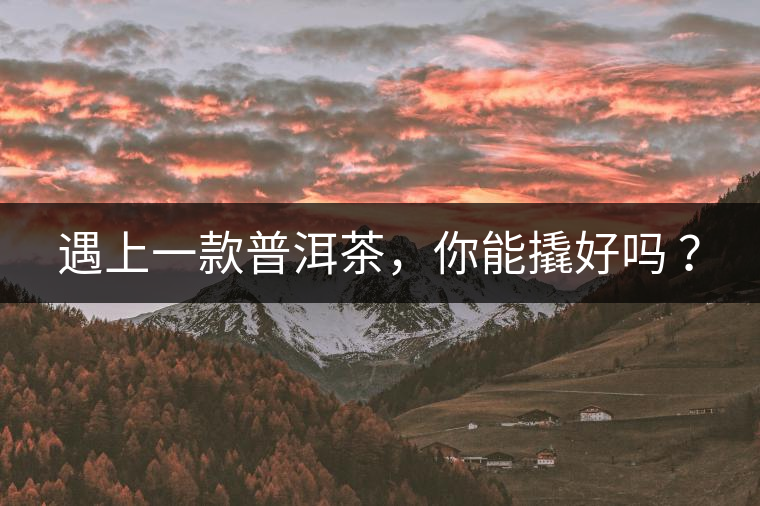 遇上一款普洱茶，你能撬好嗎 ？