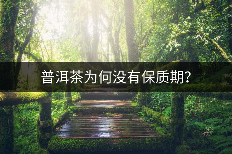 普洱茶為何沒有保質(zhì)期？