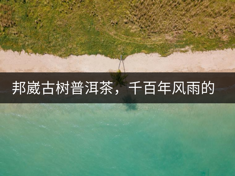 邦崴古樹普洱茶，千百年風(fēng)雨的洗禮