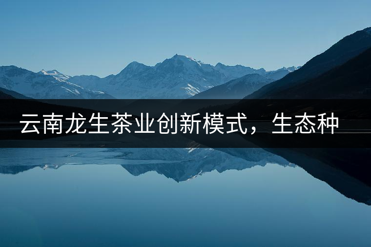 云南龍生茶業(yè)創(chuàng)新模式，生態(tài)種植