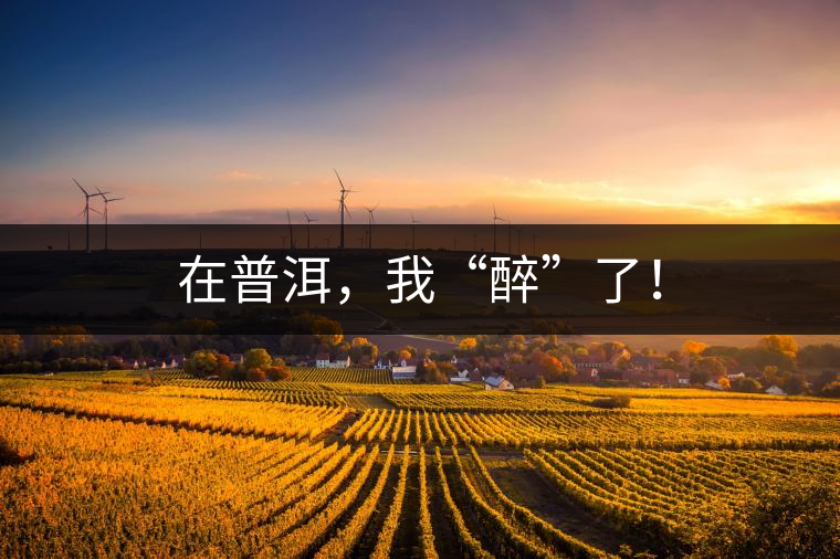 在普洱，我“醉”了！