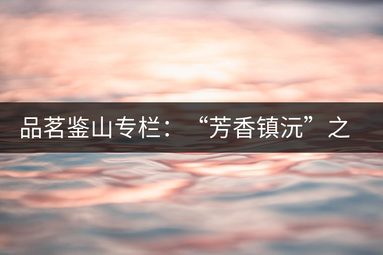 品茗鑒山專欄：“芳香鎮(zhèn)沅”之五一茶