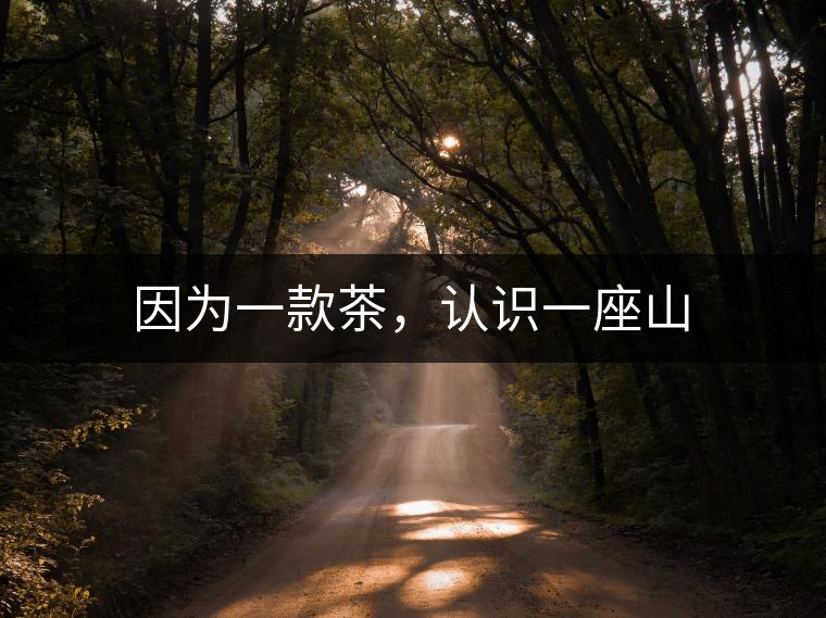 因為一款茶，認(rèn)識一座山