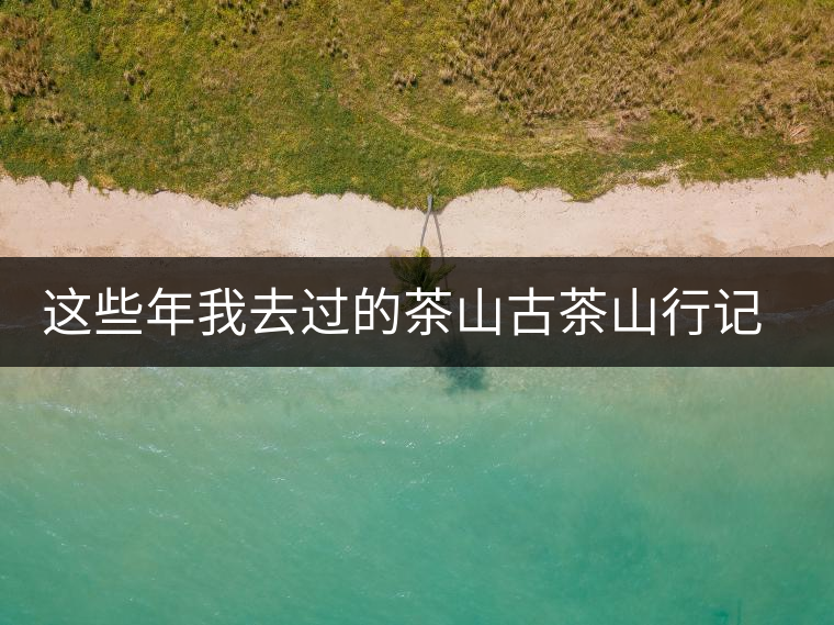 這些年我去過(guò)的茶山古茶山行記——小勐宋茶