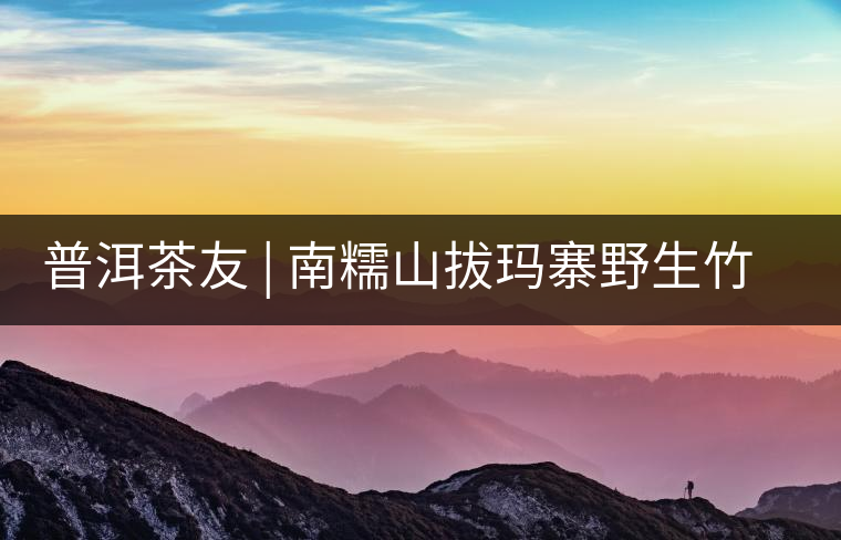普洱茶友 | 南糯山拔瑪寨野生竹蓀給看過(guò)？