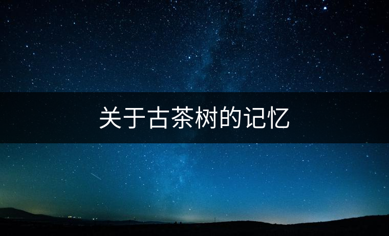 關(guān)于古茶樹的記憶