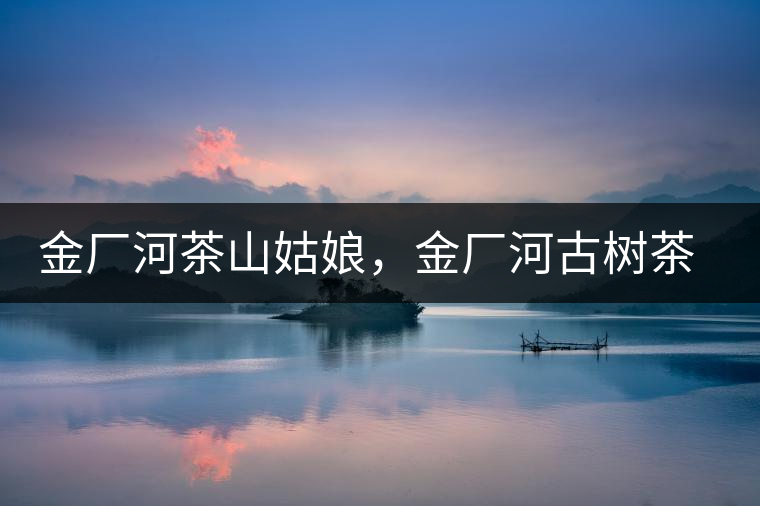 金廠河茶山姑娘，金廠河古樹茶特點(diǎn)與價格