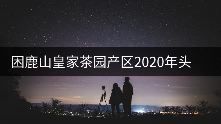 困鹿山皇家茶園產區(qū)2020年頭春古樹，白花林口感特點