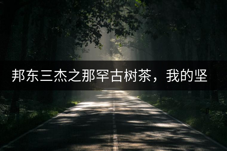 邦東三杰之那罕古樹茶，我的堅(jiān)持