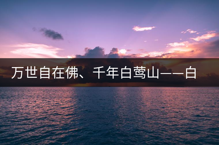 萬世自在佛、千年白鶯山——白鶯山古樹茶特點