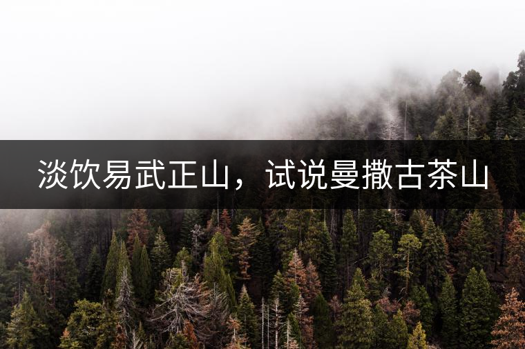 淡飲易武正山，試說曼撒古茶山