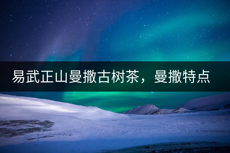 易武正山曼撒古樹茶，曼撒特點(diǎn)分享介紹