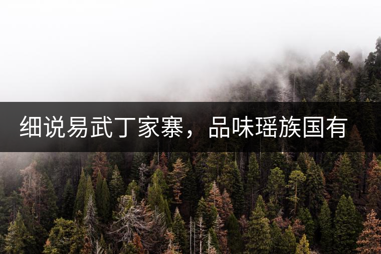 細說易武丁家寨，品味瑤族國有林古樹普洱茶