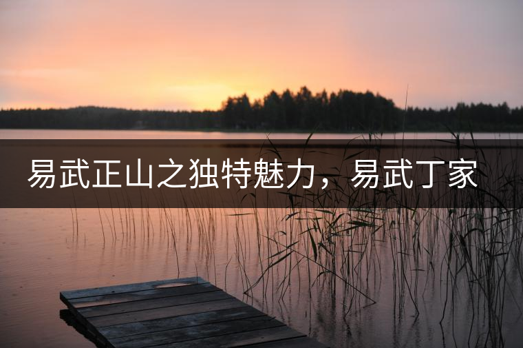 易武正山之獨特魅力，易武丁家寨介紹品鑒