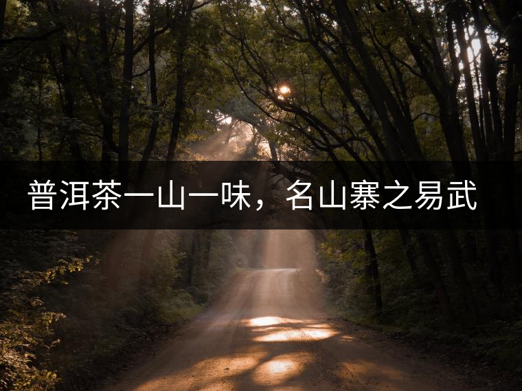 普洱茶一山一味，名山寨之易武彎弓瑤族丁家寨