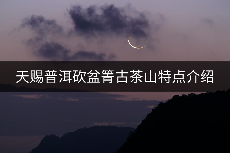 天賜普洱砍盆箐古茶山特點(diǎn)介紹